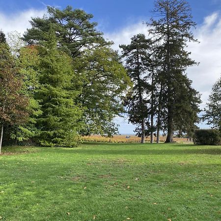 Manoir De Villamont ซาวิญี-เลส์-โบน ภายนอก รูปภาพ