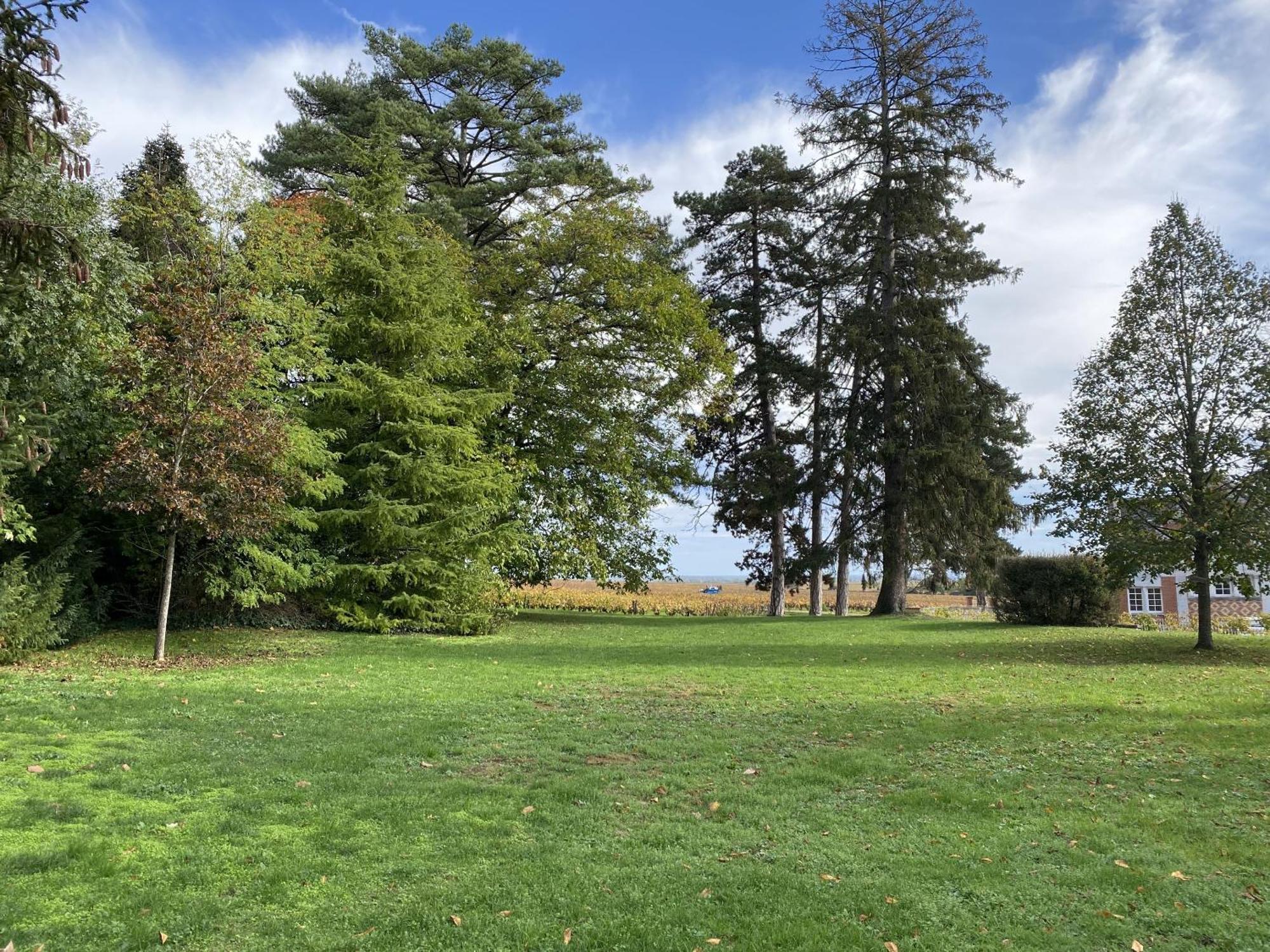 Manoir De Villamont ซาวิญี-เลส์-โบน ภายนอก รูปภาพ